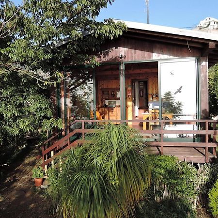 Ferienhaus In Canhas Mit Schoenem Garten Ponta do Sol  Extérieur photo