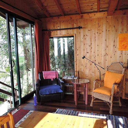 Ferienhaus In Canhas Mit Schoenem Garten Ponta do Sol  Extérieur photo