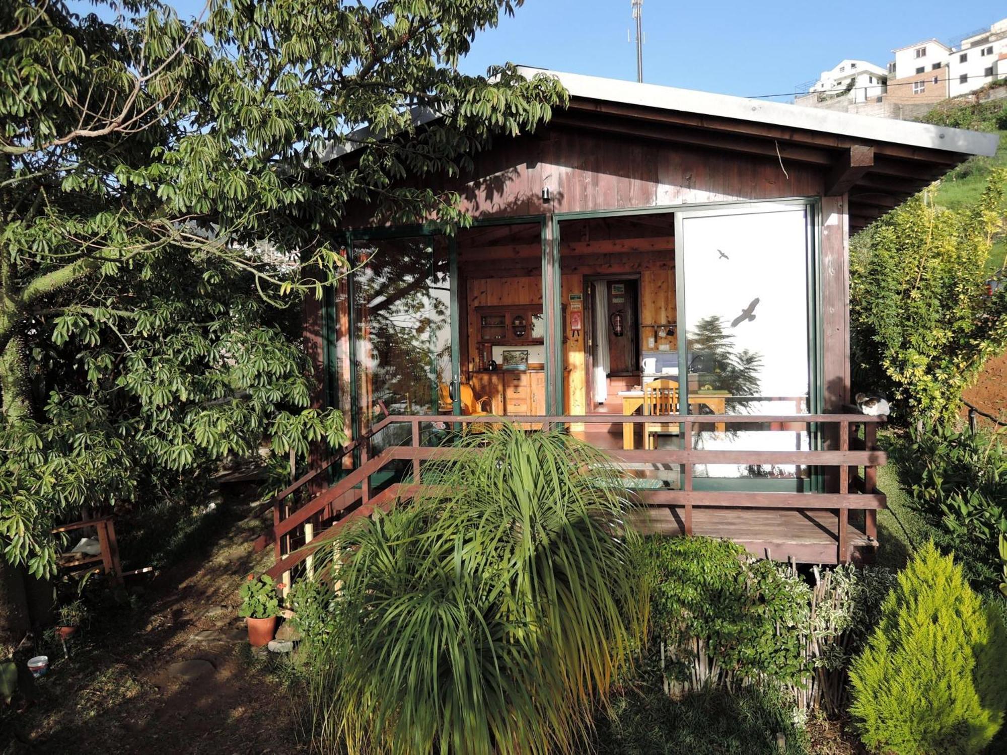 Ferienhaus In Canhas Mit Schoenem Garten Ponta do Sol  Extérieur photo