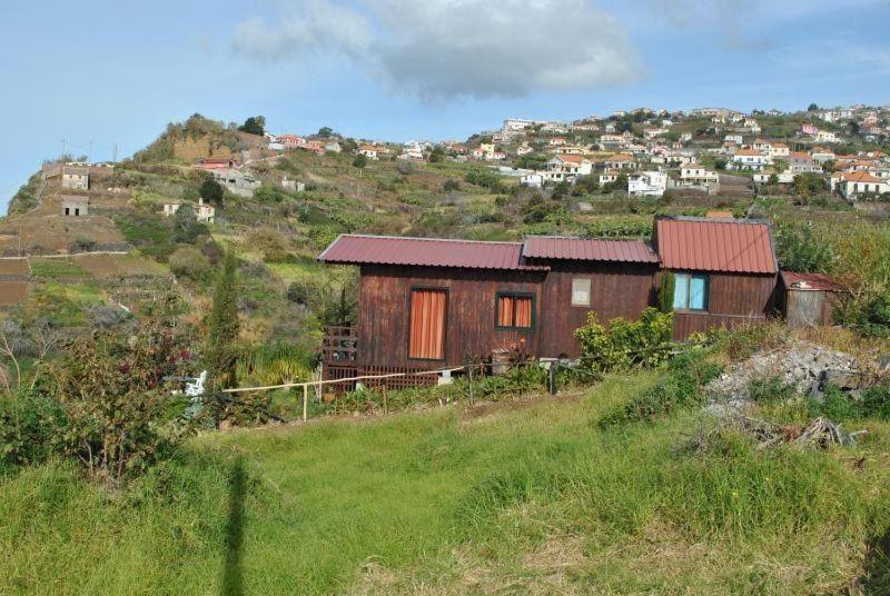 Ferienhaus In Canhas Mit Schoenem Garten Ponta do Sol  Extérieur photo