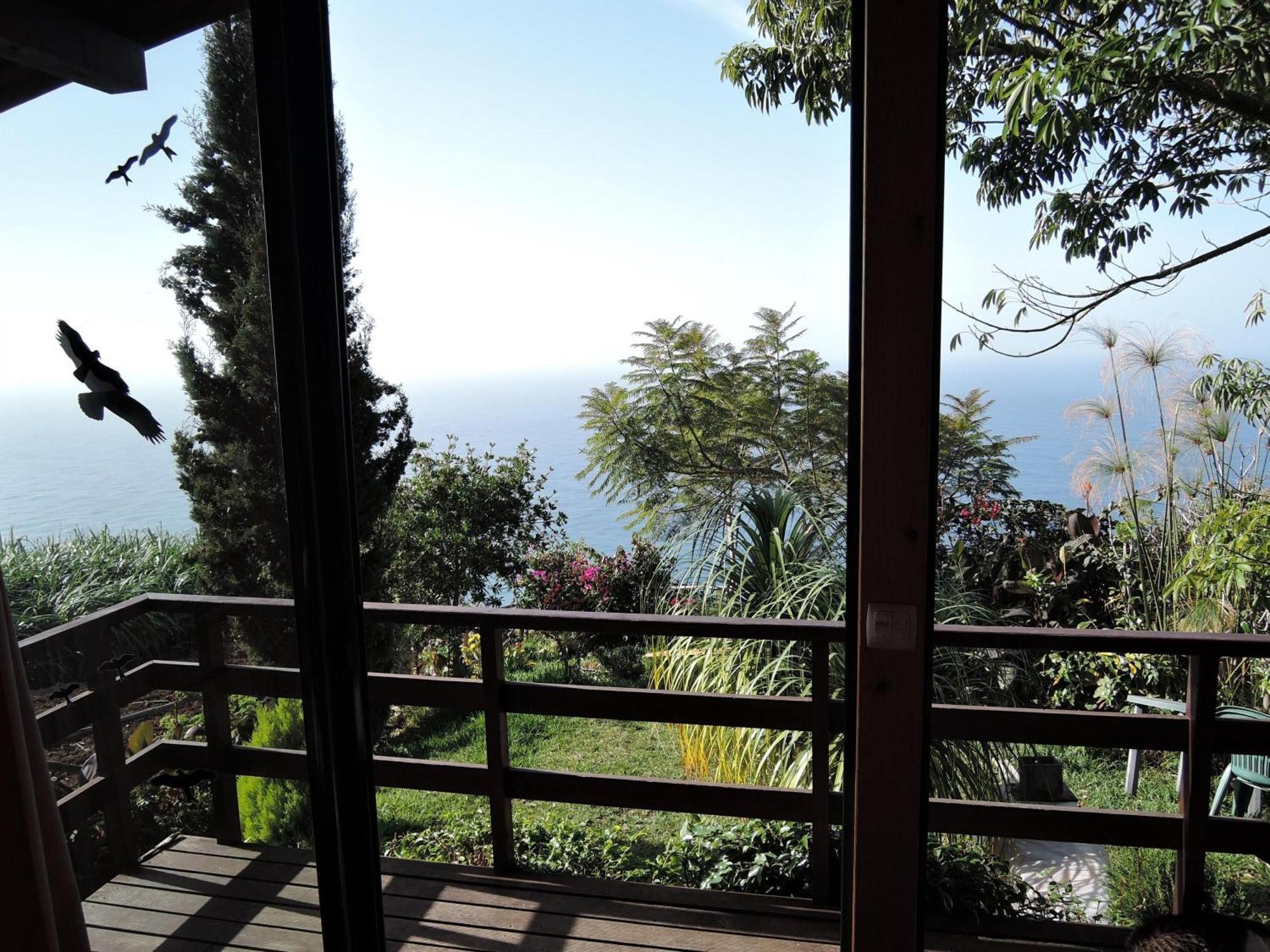 Ferienhaus In Canhas Mit Schoenem Garten Ponta do Sol  Extérieur photo
