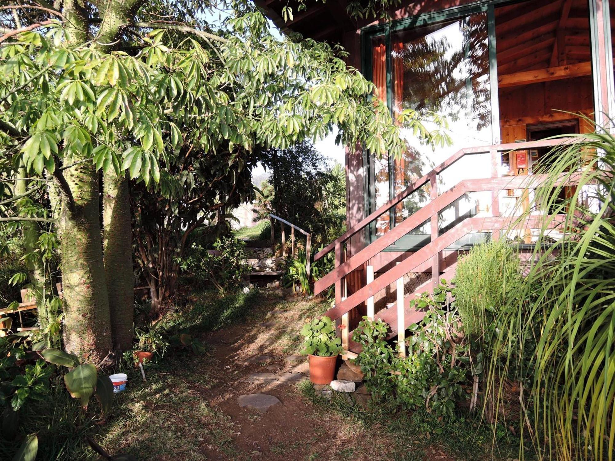 Ferienhaus In Canhas Mit Schoenem Garten Ponta do Sol  Extérieur photo