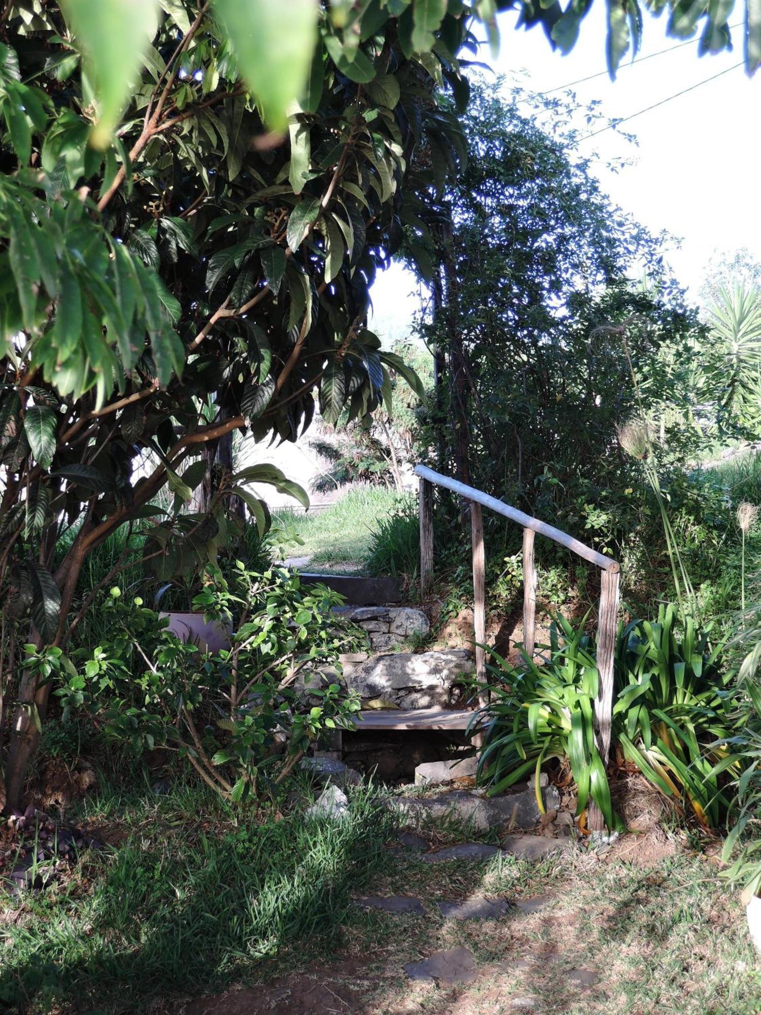 Ferienhaus In Canhas Mit Schoenem Garten Ponta do Sol  Extérieur photo