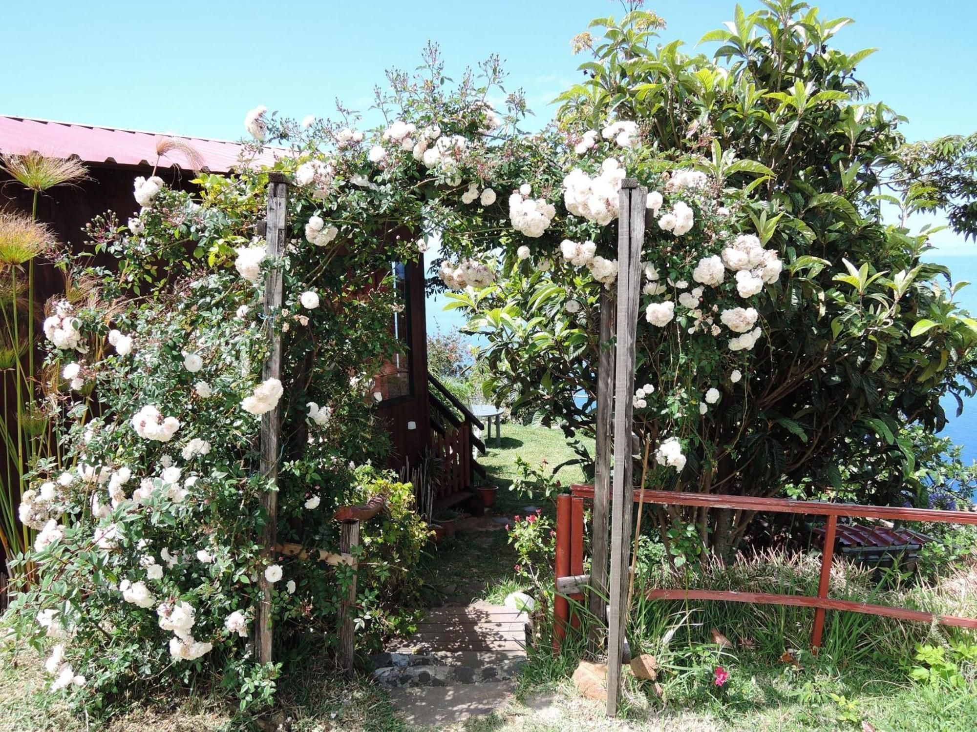 Ferienhaus In Canhas Mit Schoenem Garten Ponta do Sol  Extérieur photo
