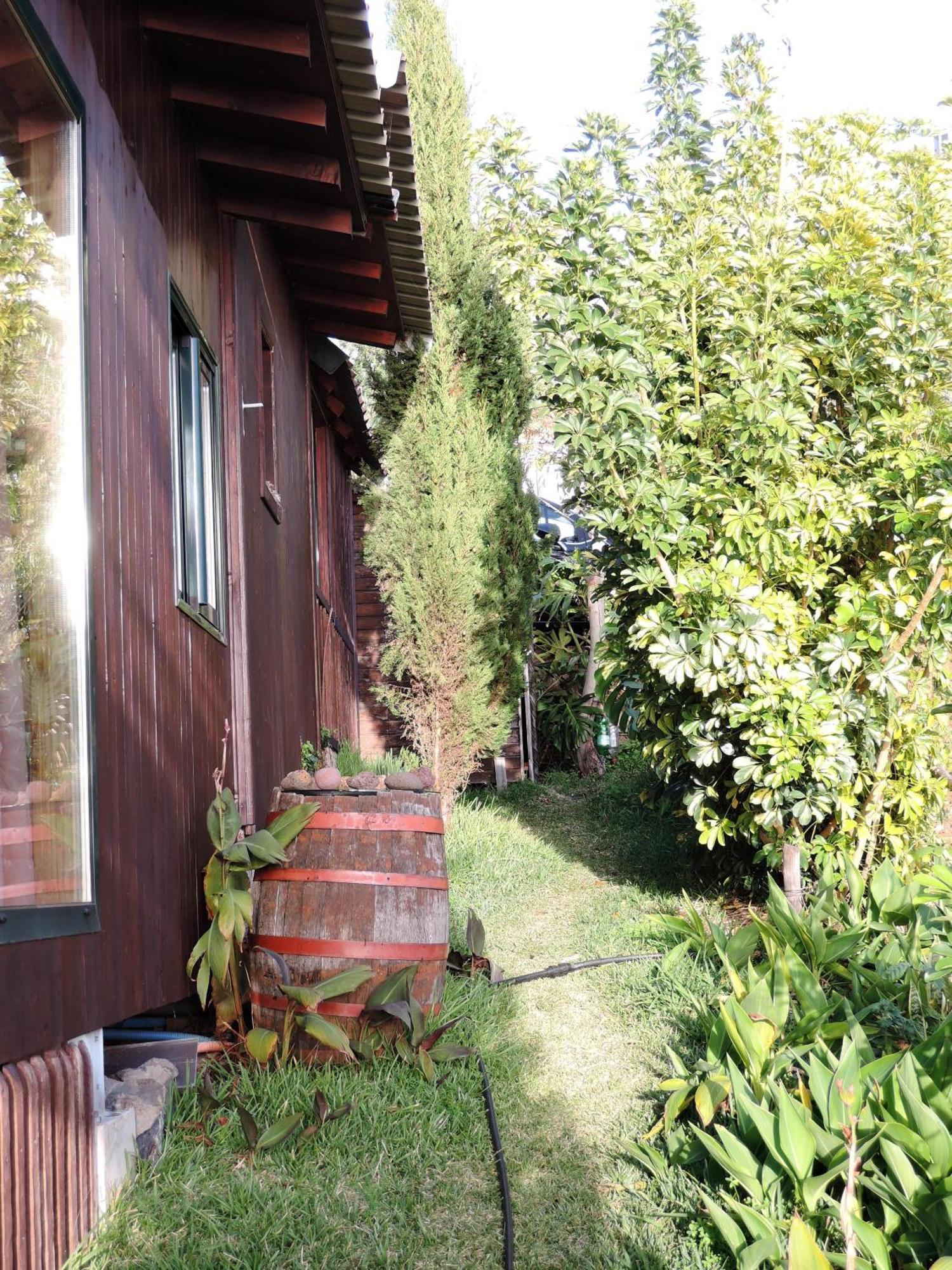Ferienhaus In Canhas Mit Schoenem Garten Ponta do Sol  Extérieur photo